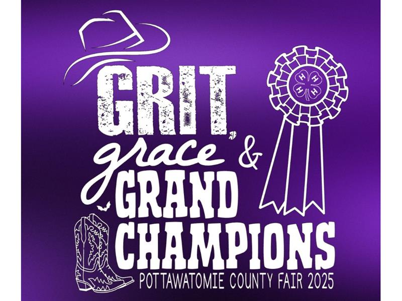 Fair Logo